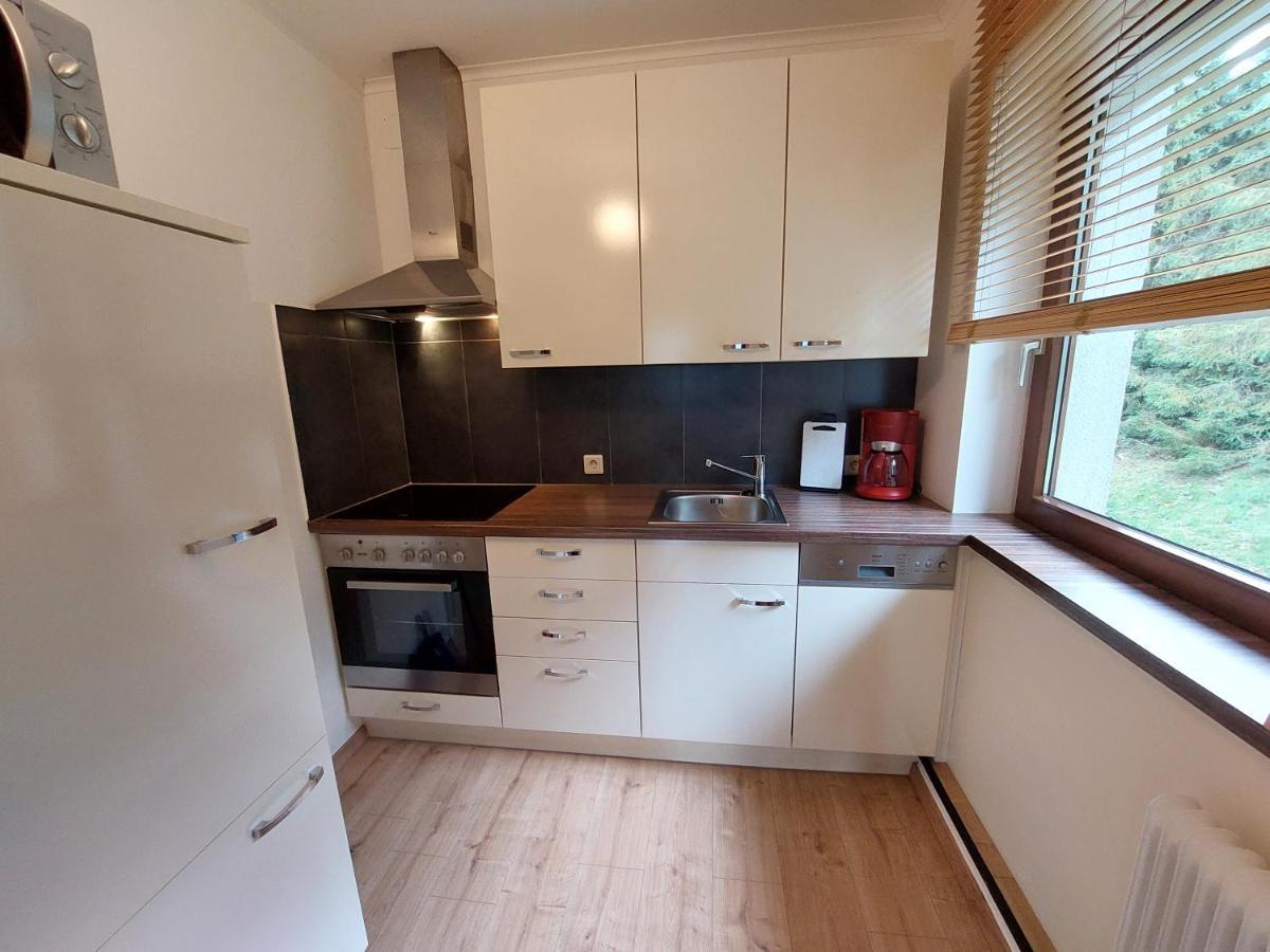 Appartements Zauchenseeblick Thunhart Altenmarkt im Pongau Εξωτερικό φωτογραφία
